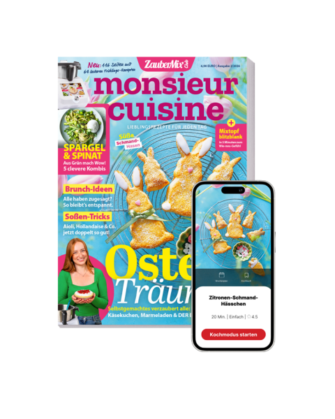 Monsieur Cuisine by ZauberMix